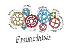 Franchise Model Gears